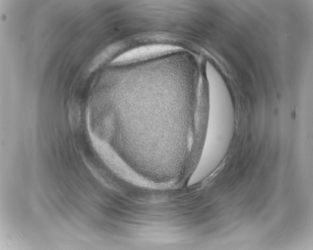 X0000085310158200704092332