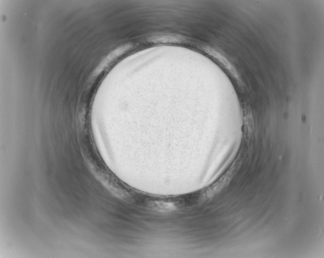X0000085310159200704092332