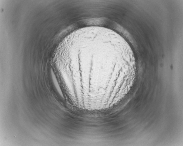 X0000085310161200704092332