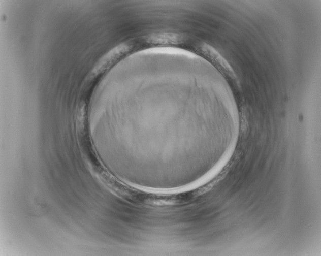 X0000085310163200704092332
