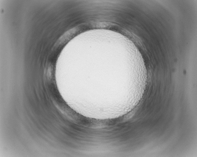X0000085310166200704092332