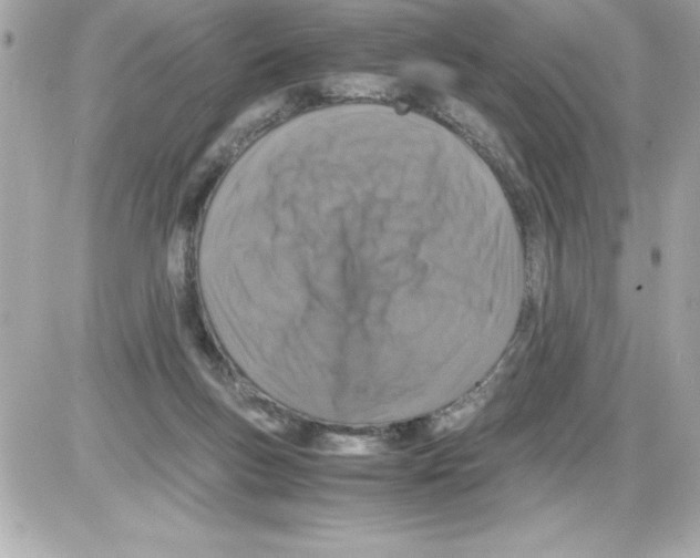 X0000085310167200704092332