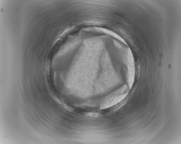 X0000085310168200704092332