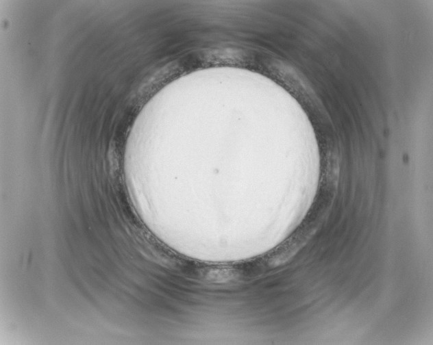 X0000085310173200704092332