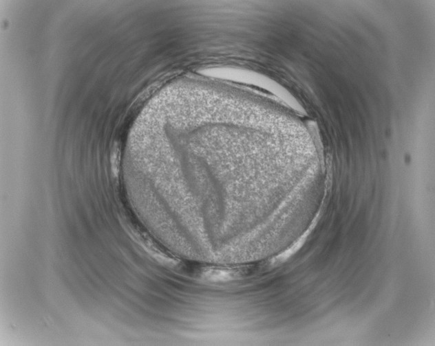 X0000085310174200704092332