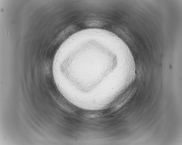 X0000085310175200704092332