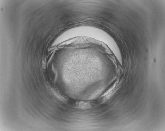 X0000085310180200704092332