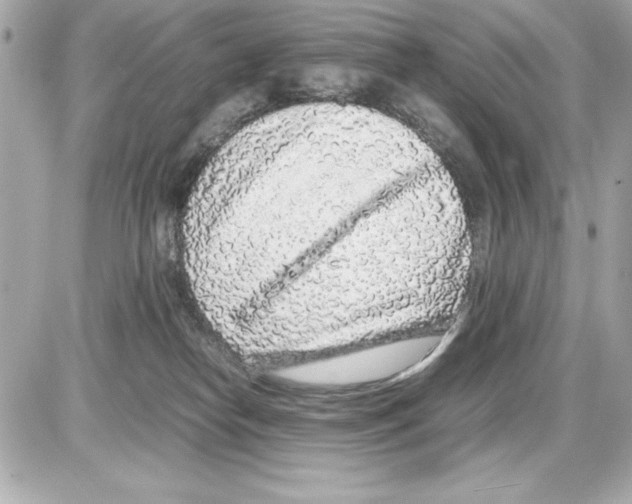 X0000085310182200704092332