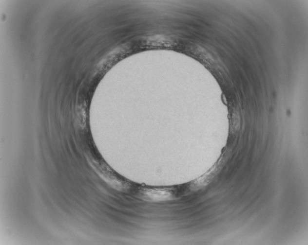 X0000085310183200704092332