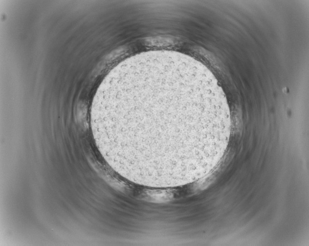 X0000085310187200704092332