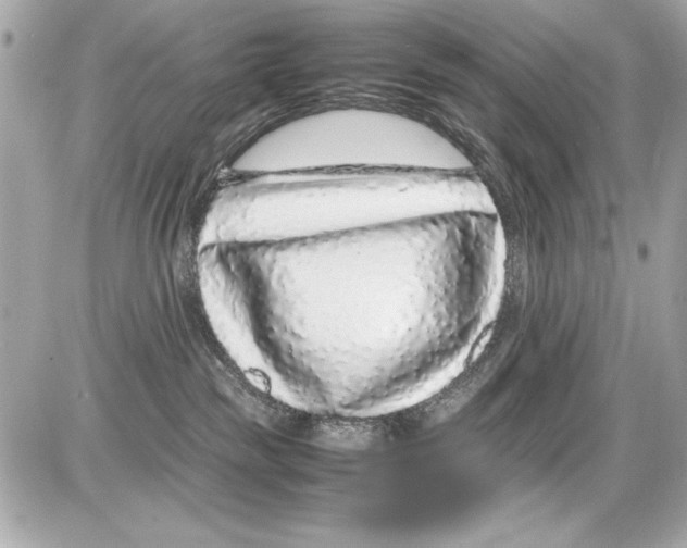 X0000085310189200704092332