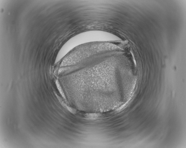 X0000085310192200704092333