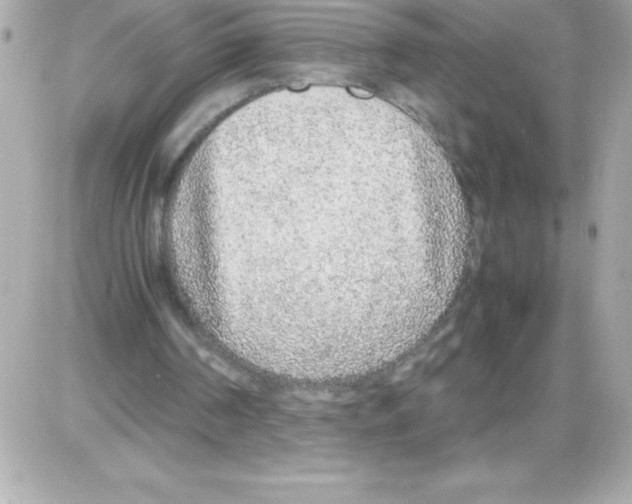 X0000085310194200704092332