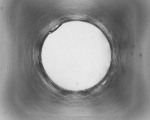 X0000085310201200704092332