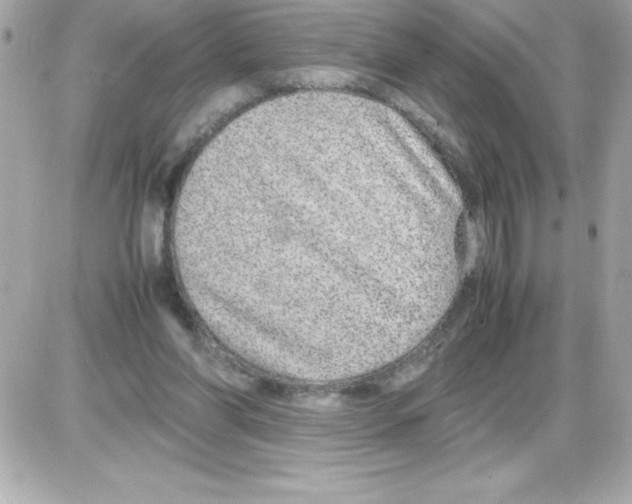X0000085310206200704092332