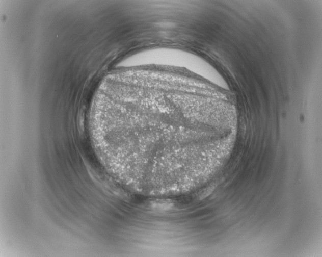 X0000085310214200704092331