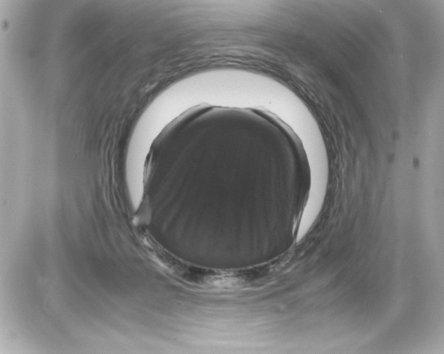 X0000085310219200704092331