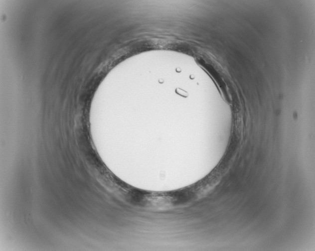 X0000085310221200704092331
