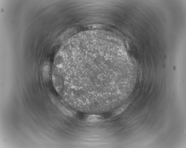 X0000085310222200704092331