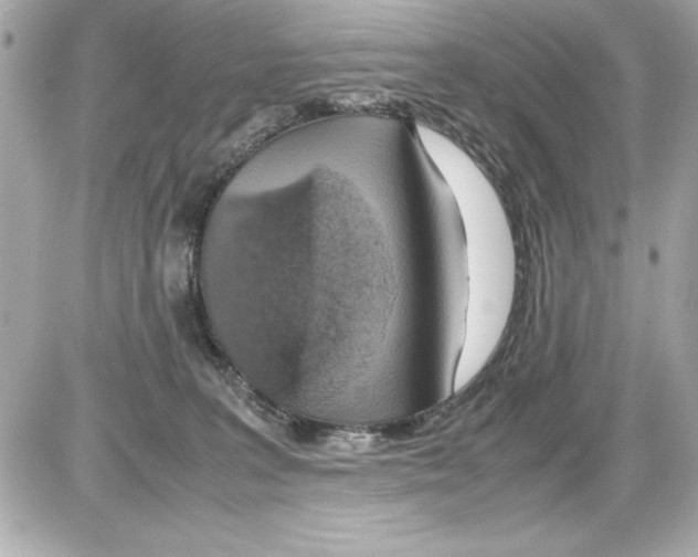 X0000085310227200704092331