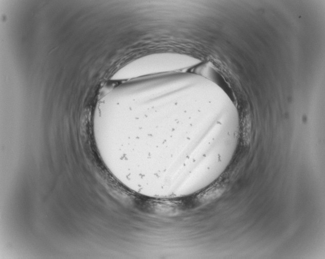 X0000085310229200704092331
