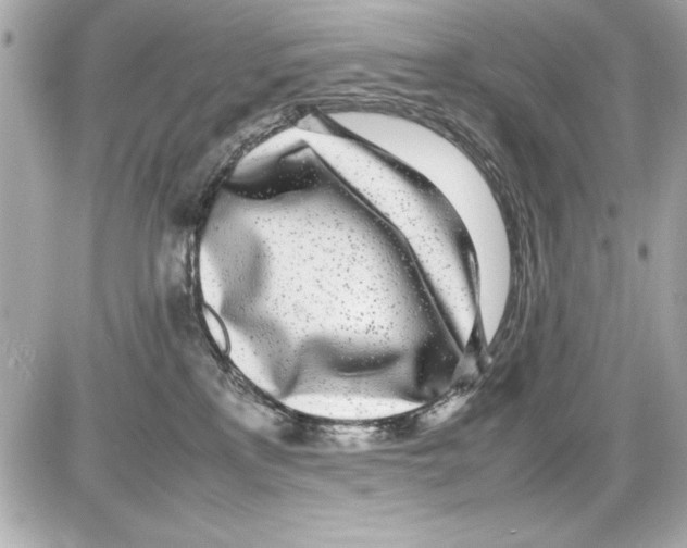 X0000085310233200704092331