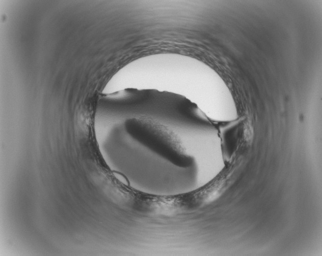 X0000085310235200704092331