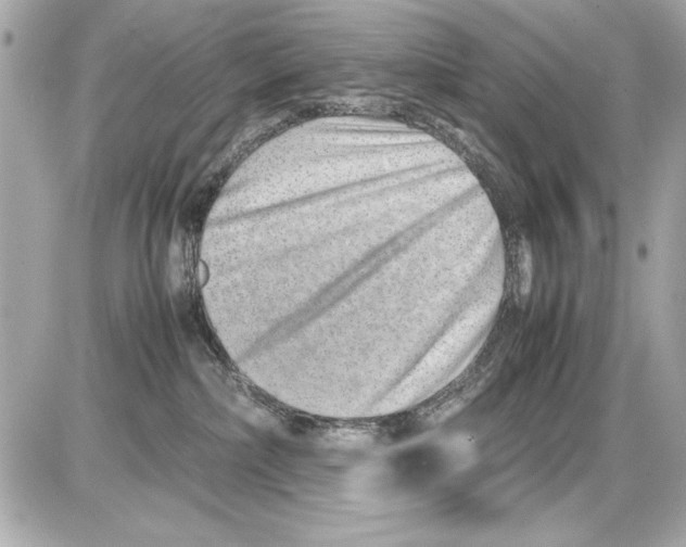 X0000085310236200704092331