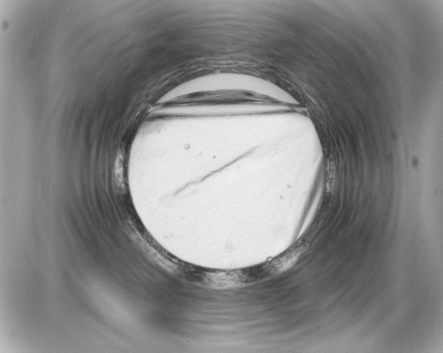 X0000085310238200704092331