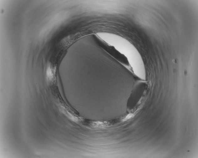 X0000085310239200704092331