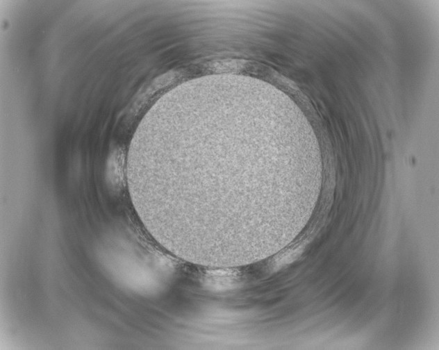 X0000085310240200704092331