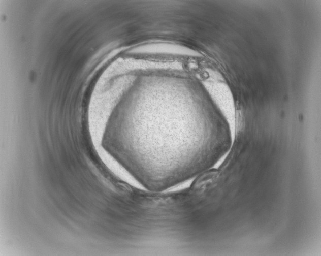 X0000085310243200704092330
