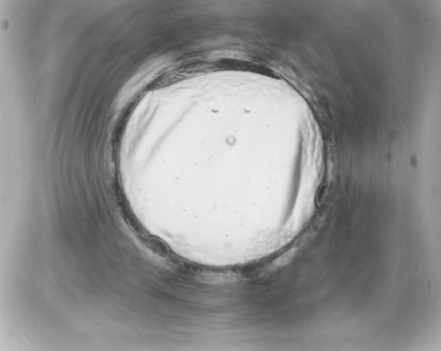 X0000085310245200704092330