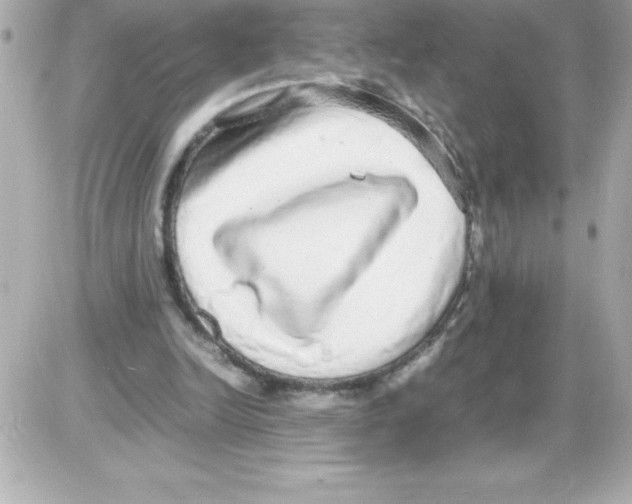 X0000085310246200704092330