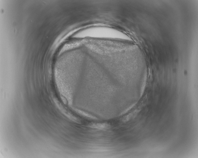 X0000085310247200704092330