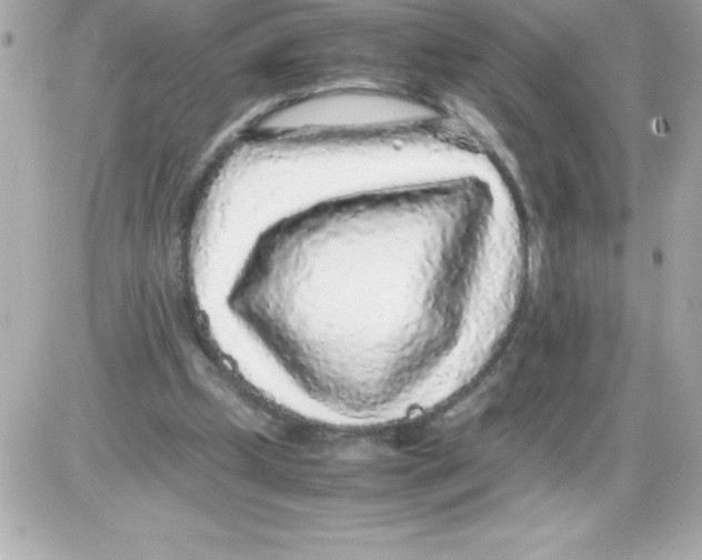 X0000085310249200704092330