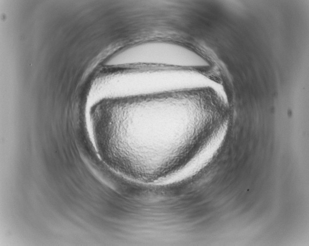 X0000085310250200704092330