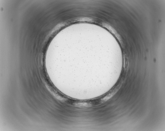 X0000085310253200704092330