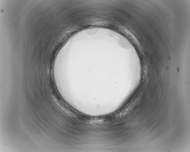 X0000085310257200704092330