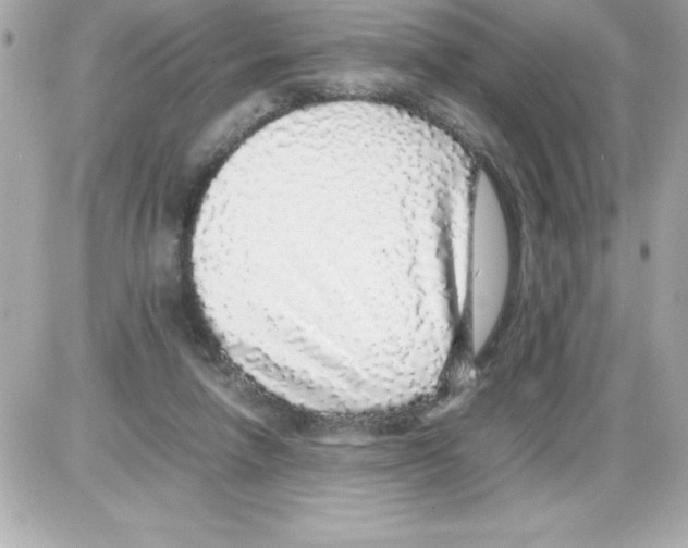 X0000085310258200704092330
