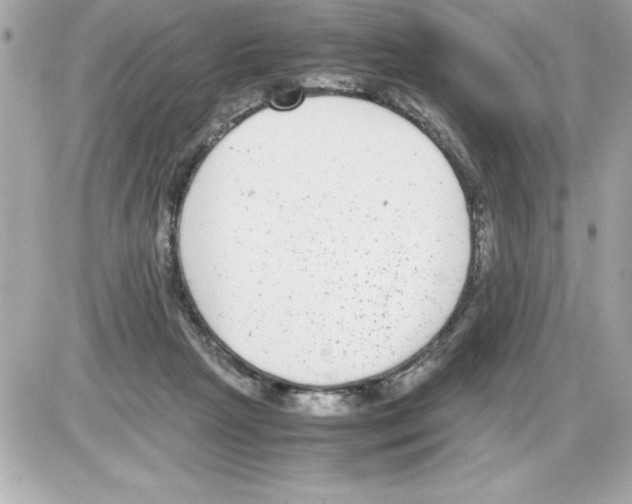 X0000085310265200704092331