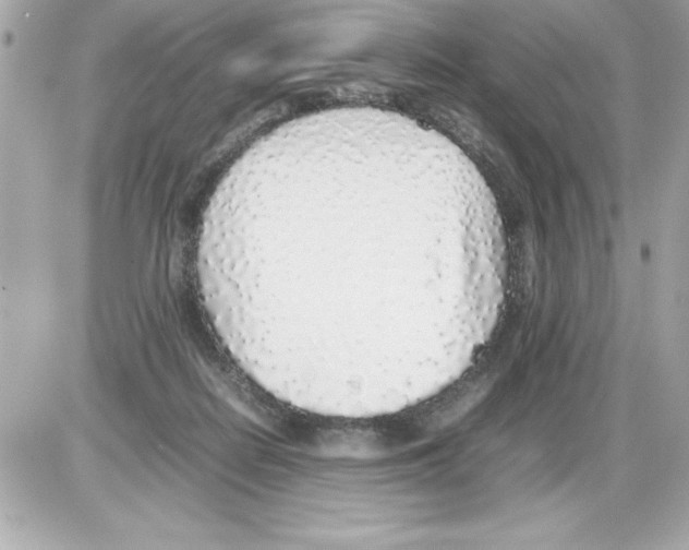 X0000085310266200704092331
