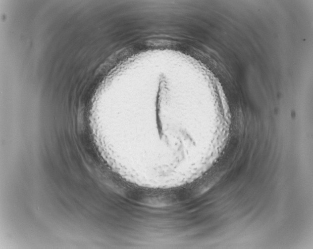 X0000085310267200704092331