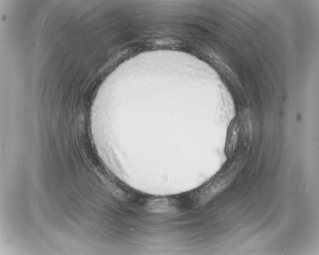 X0000085310269200704092331