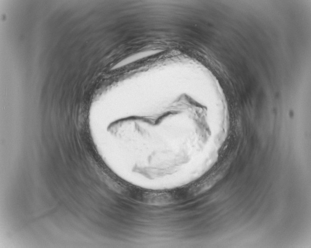 X0000085310277200704092331