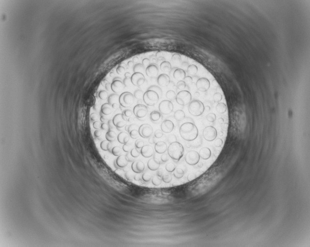 X0000085310278200704092331