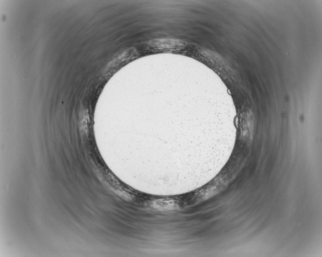 X0000085310279200704092331