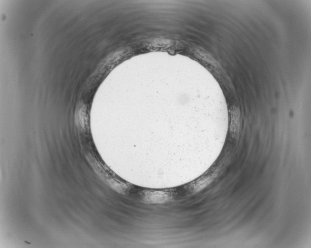 X0000085310287200704092331