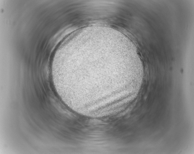 X0000085310290200704092330