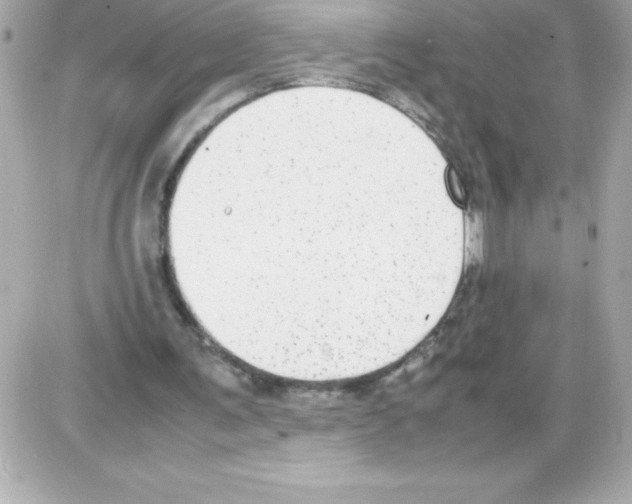 X0000085310291200704092330